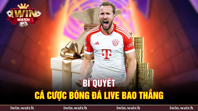 Cá cược bóng đá live hiệu quả - Bí quyết thắng lợi cùng iWin 3 Thời gian để vào kèo là từ 3-4 tiếng trước khi trận đấu bắt đầu