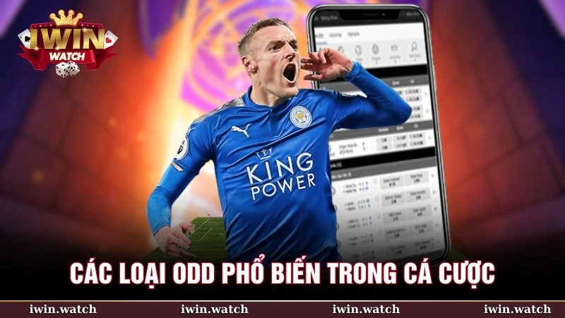 Các loại phổ biến trong cá cược của Odd là gì
